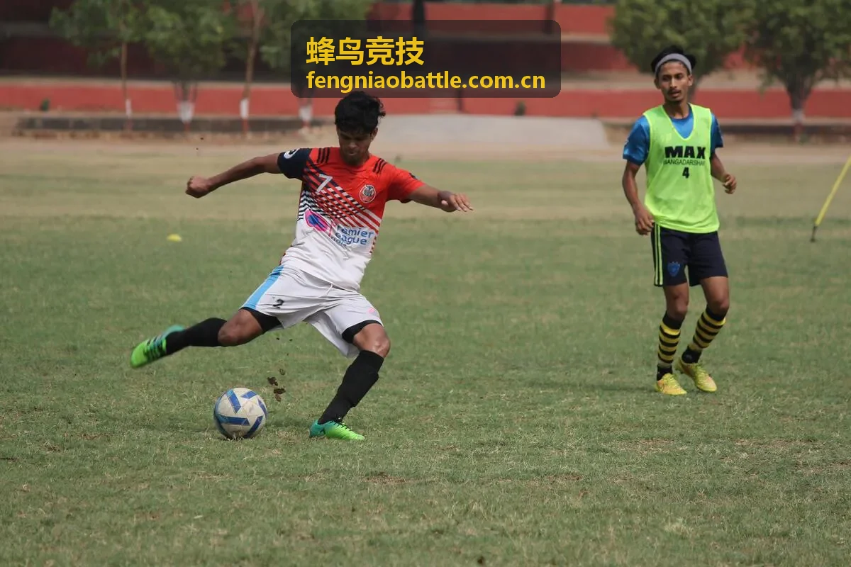 蜂鸟竞技DOTA2天梯排行速览