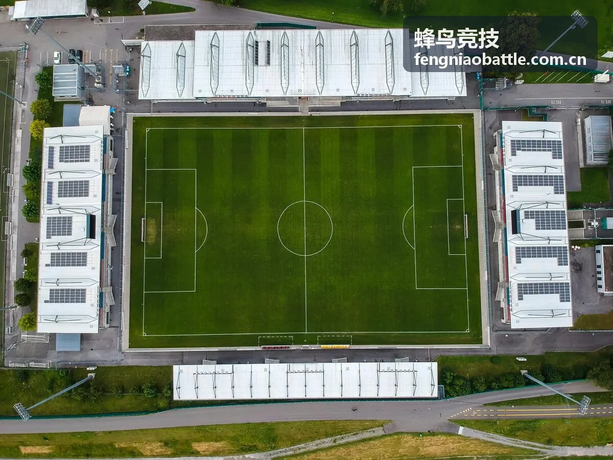 蜂鸟竞技新秀选手观察专题